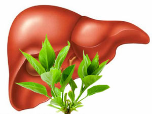 Healthy liver naturally